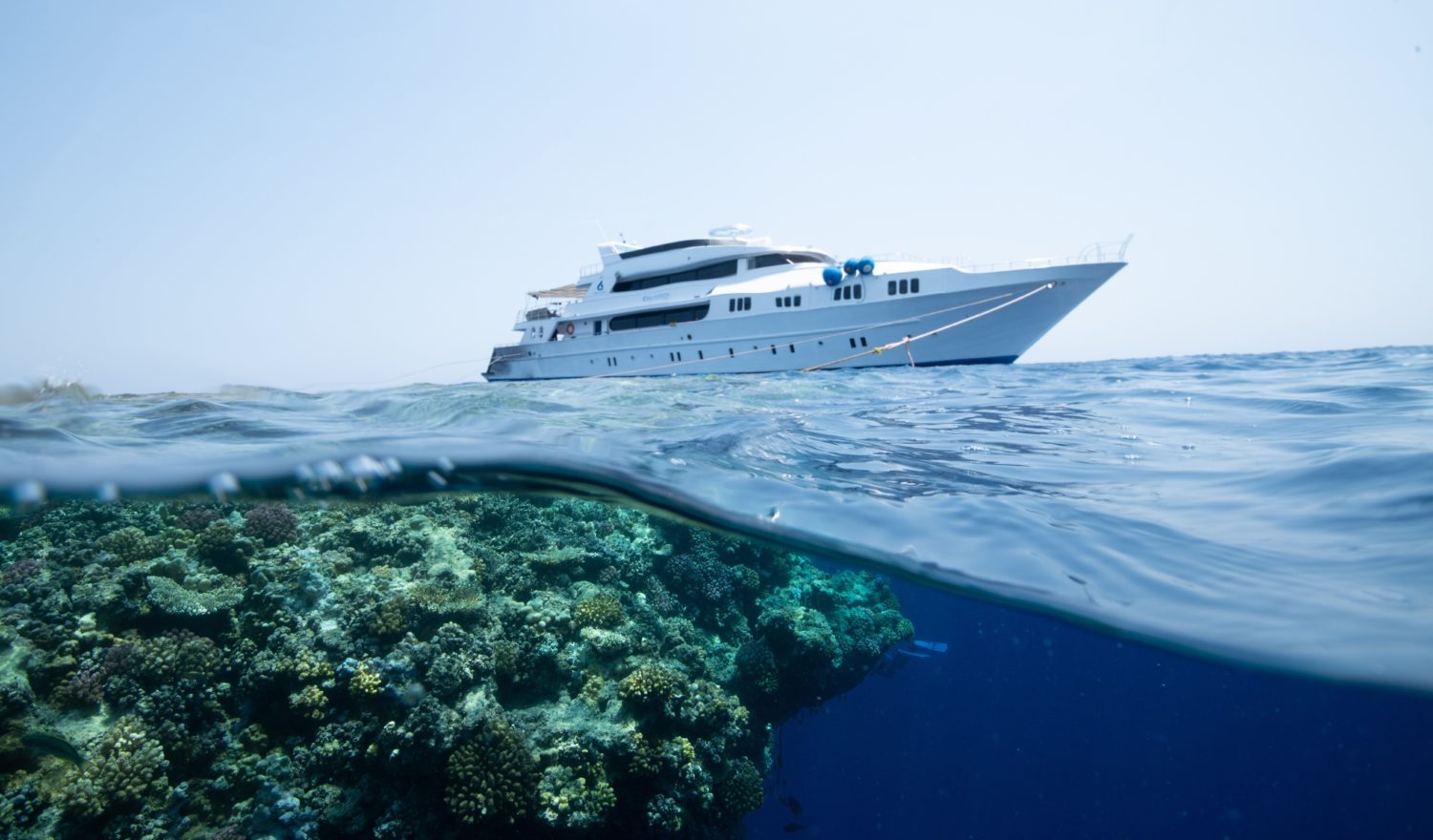 Liveaboard boat image