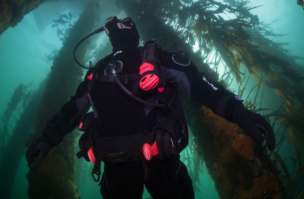 scuba diver in kelp forest with Atomic Aquatics gear. Header image for blog titled "BC1 vs. BC2: What's the Difference?"